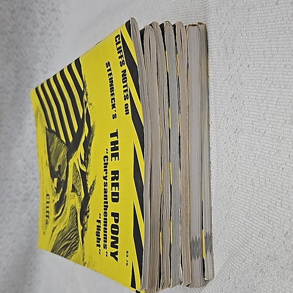 Cliffs Notes - Bundle - Picture 12 of 12